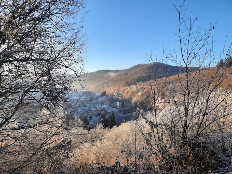 Chalet A L'Oree Du Bois Avec Parking Tournavaux Eksteriør bilde