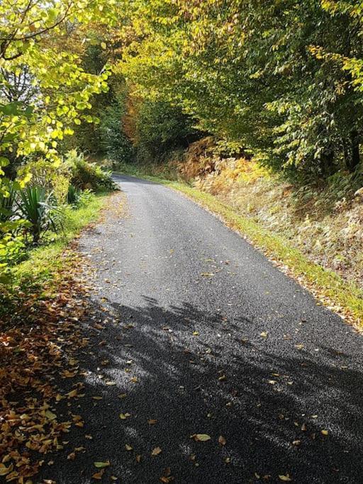 Chalet A L'Oree Du Bois Avec Parking Tournavaux Eksteriør bilde
