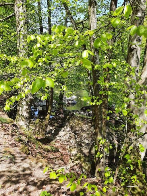 Chalet A L'Oree Du Bois Avec Parking Tournavaux Eksteriør bilde